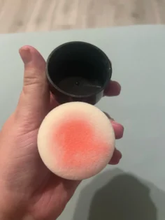 Powder Blusher - Найкращий рум'яний з грибоподібною головкою для вашого макіяжу photo review