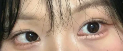 Витончені віяла Brown Sunflower - Неперевершений вигляд з манго стилю photo review