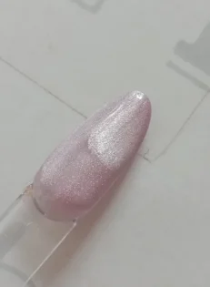 Червоний Галузка: Магнітний мікрокат для нейл-арту - Стильний манікюр вдома photo review