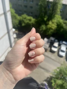 Dried Flower Gel Nail Polish - Ваша ідеальна манікюрна розкіш! photo review