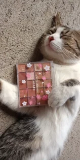 Яскраві Тіні для Повік DIKALU Evening Cherry Dance photo review