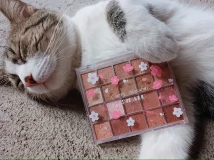 Яскраві Тіні для Повік DIKALU Evening Cherry Dance photo review