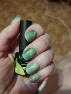 Котяче Магнітне Гель Лак LILYCUTE для Комплексного Нігтьового Дизайну photo review