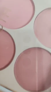 Матова рум’яність 4 кольори - ефектний макіяж для обличчя photo review