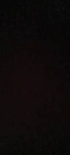 Котяче Магнітне Гель Лак LILYCUTE для Комплексного Нігтьового Дизайну photo review