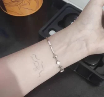 Консилер для татуювань: водонепроникний, повне покриття і натуральний фініш photo review