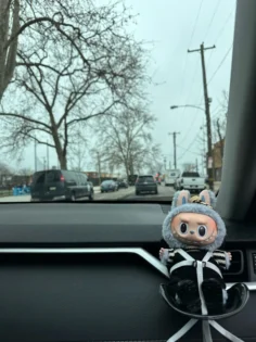 Безпечне сидіння для ляльок: Labubu Carseat для стильного інтер'єру photo review