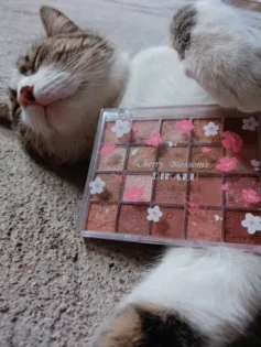 Яскраві Тіні для Повік DIKALU Evening Cherry Dance photo review