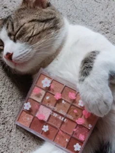 Яскраві Тіні для Повік DIKALU Evening Cherry Dance photo review