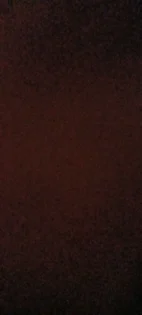 Котяче Магнітне Гель Лак LILYCUTE для Комплексного Нігтьового Дизайну photo review