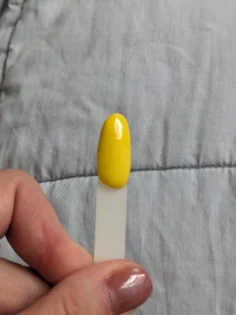 Гель лак для нігтів BORN PRETTY - Ідеальний манікюр на 21 день! photo review