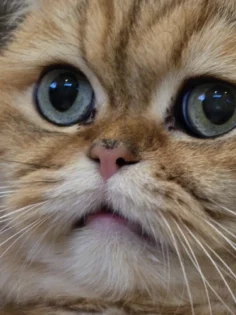 UR SUGAR 7ml Гель бази – ідеальний вибір для манікюру photo review