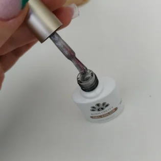 Auroras Cat Magnetic Gel - BORN PRETTY 10ml для ваших ідеальних нігтів photo review