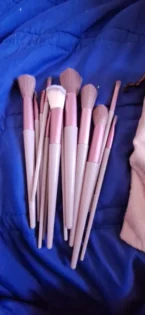 Макіяжні Щітки: 13PCS Портативний Набір для Ідеального Макіяжу photo review