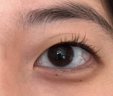 Витончені віяла Brown Sunflower - Неперевершений вигляд з манго стилю photo review