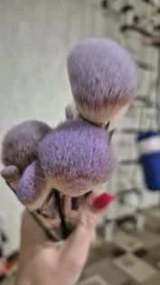 Професійний набір кистей для макіяжу - 3/20 штук для ідеального вигляду photo review