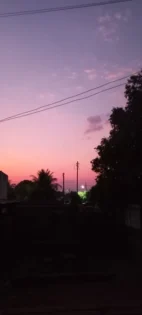 Cat Eye Gel Nail Polish - XEIJAYI 6Pcs для професійного манікюру photo review