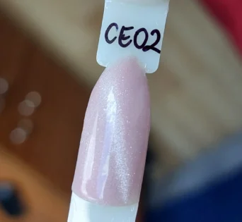 Червоний Галузка: Магнітний мікрокат для нейл-арту - Стильний манікюр вдома photo review