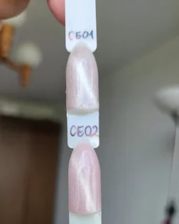 Червоний Галузка: Магнітний мікрокат для нейл-арту - Стильний манікюр вдома photo review